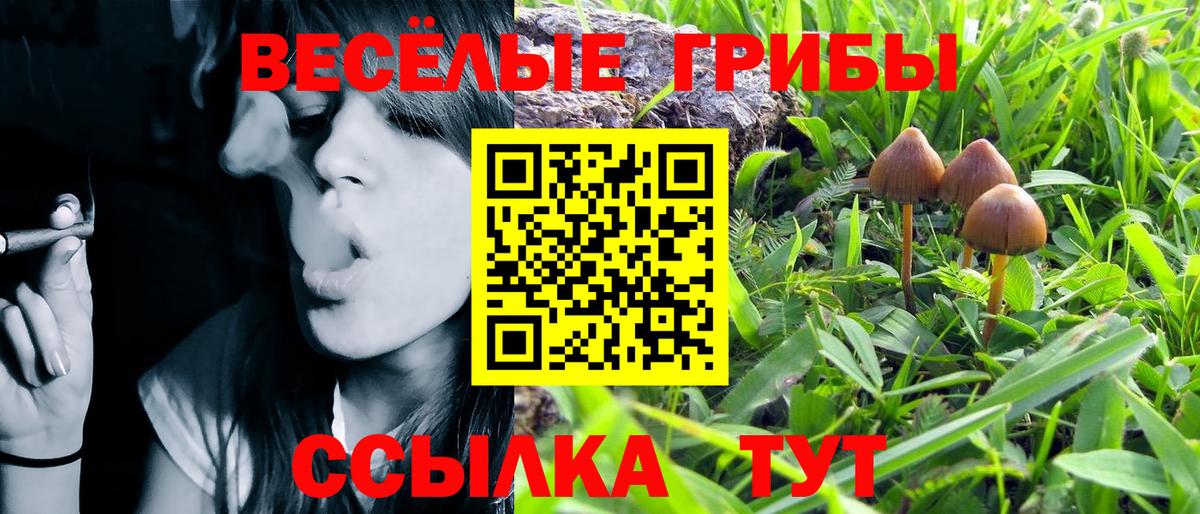 Наро-Фоминск  Галлюциногенные грибы MAGIC MUSHROOMS  Вход с VPN 